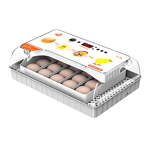 Top 10 Best Egg Incubators [Top Picks 2023 Reviews]