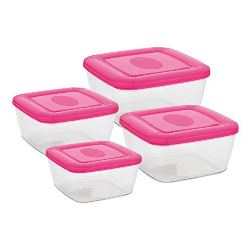 Image of Asian Plastowares Plastic Flora Container, 500ml, 1 Litre, 1.5 Litre, 2.5 Litre, Set of 4, Color May Vary