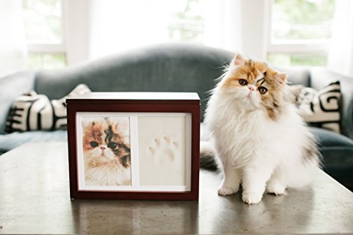 Pearhead Dog or Cat Personalized Memory Box Keepsake, Pet Urn, Espresso, 41406