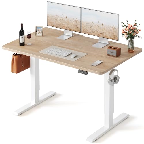 FEZIBO 55x24 Inch Electric Sit-Stand Desk