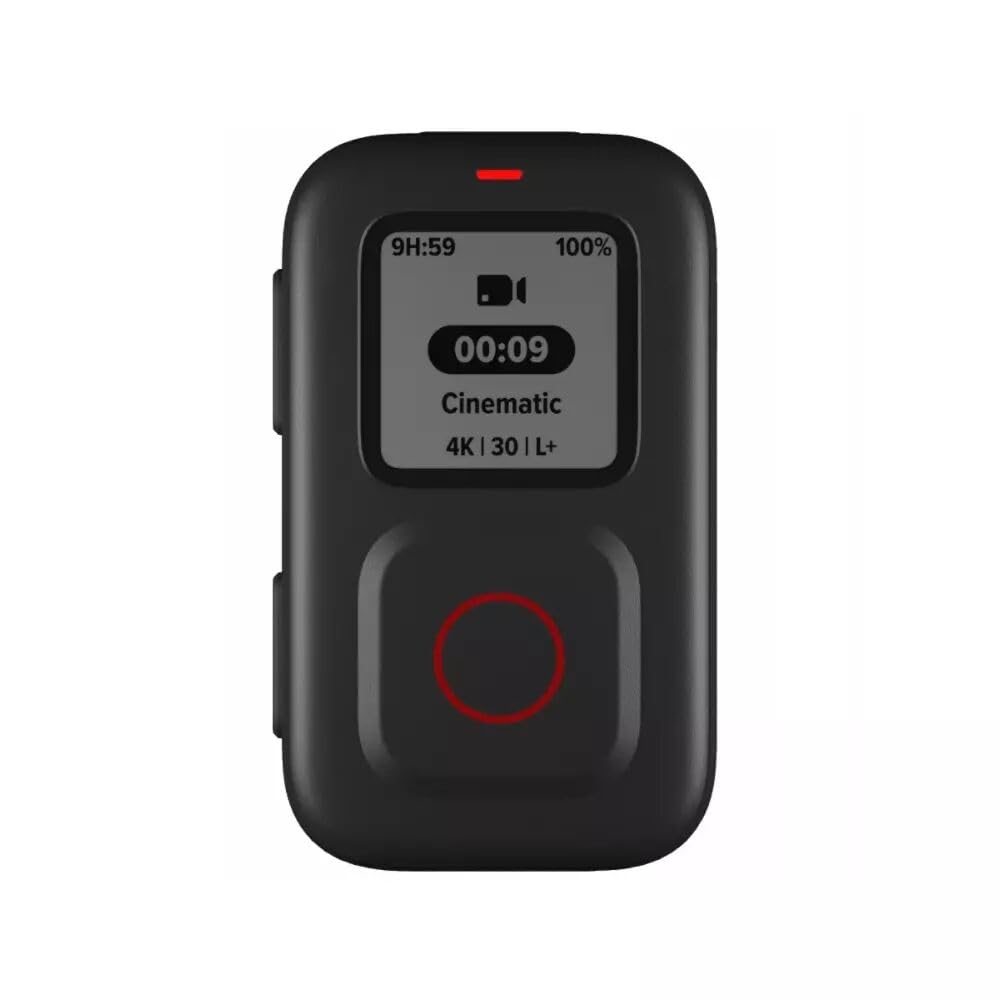 GoPro The Remote - Official GoPro Accessory