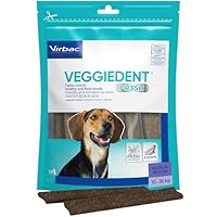 VEGGIEDENT Fresh M