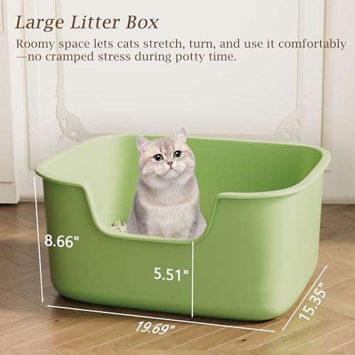 Arenero Grande para Gatos con Laterales Altos Verde miniatura 2