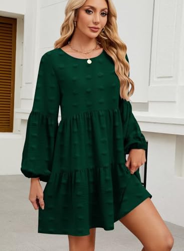 Image of QACOHU Falll Dresses for Women 2026 Crew Neck Long Lantern Sleeve Casual Loose Flowy Swing Shift Dress