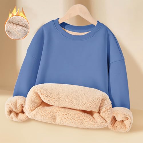 Toddler Girls Boys Sherpa Fleece Lined Sweatshirts Kids 2025 Fall Winter Warm Thicken Hoodies Fuzzy Pullover Comfort2