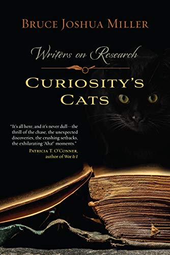Curiosity's Cats view 2