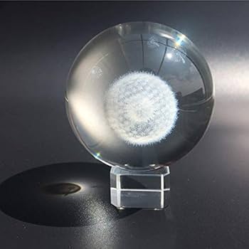 アネモネたんぽぽ綿毛セット Sola cube] タンポポ（5cm角）- ならの実