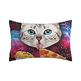 WOWUSUO Galaxy Cat Pillowcase Pizza Pillow Case Pillow Cover Queen Size Cushion Bedroom Bed Decor...