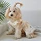 Hund Prinzessin Kleid mit Herz-Muster,Spitze Rüschenbesatz, Katze Outfits Welpe Sommer Tutu Kleid für kleine Hunde Haustier Outfit für Yorkie Teddy Chihuahua Kleidung,Größe S(1.5–2.5kg),Herz