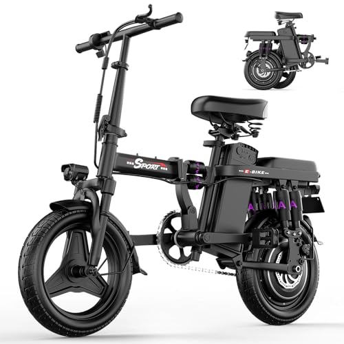 Folding Electric Bicycle 500W