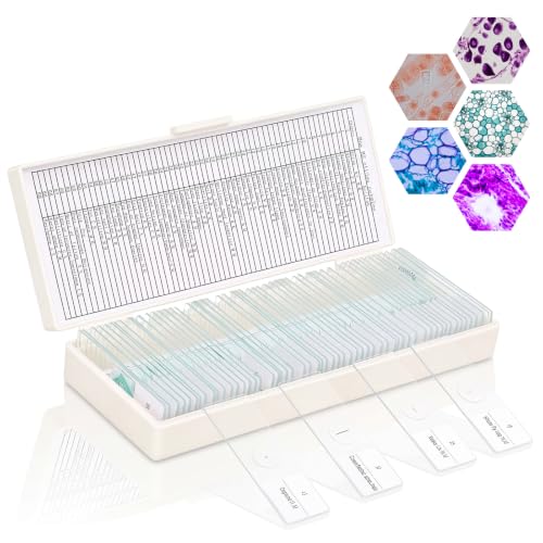 Tellegloww 60 Pcs Prepared Microscope Slides with Specimens for Kids