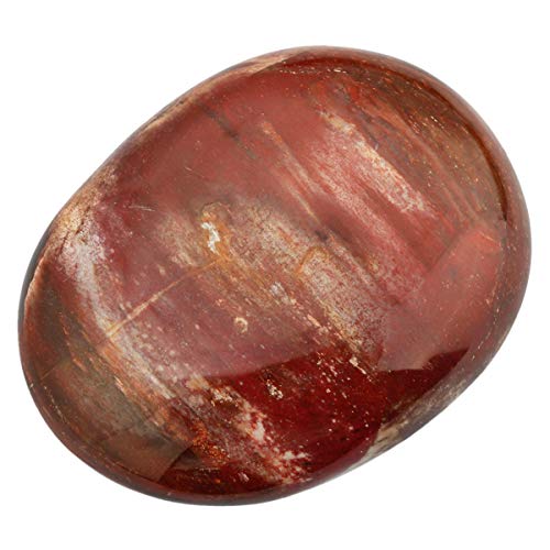 Tumbeelluwa Irregular Polished Crystal Palm Stone For Therapy Energy Tumbled Pocket Worry Stone For Healing, Petrified Wood #TOP1