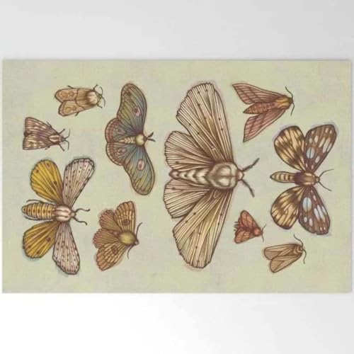 ���փ}�b�g ���̌Q�� 50×80cm doormat Herd of Butterfly Insect