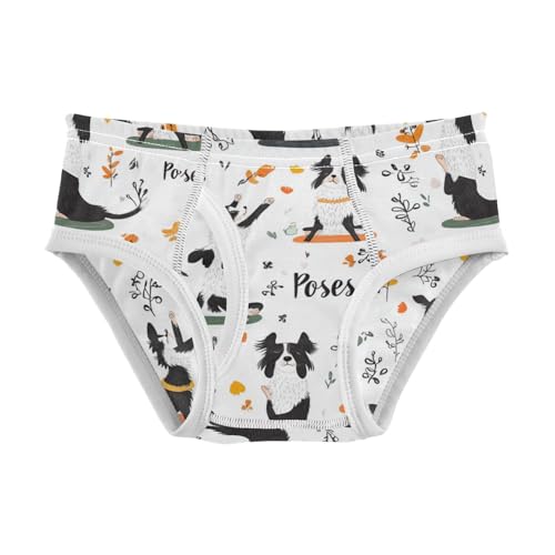 Wusikd Border Collies Doing Yoga Boys' Underwear Cotton Boys Briefs Soft Toddler Underwear 2T