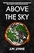 Above the Sky