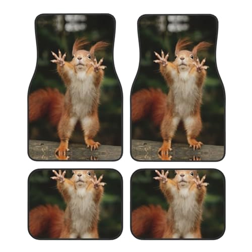 Tapis de voiture universels motif écureuil pour sublimer l'habitacle de vos sorties en famille