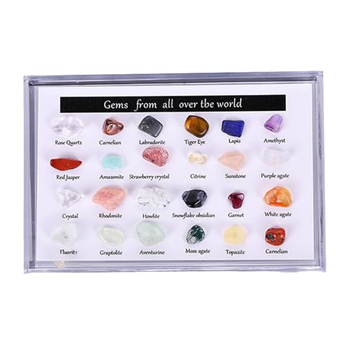 Generisch Vitrina de exhibición de ,...