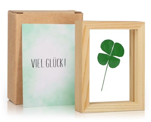 Giftota Amuleto de la suerte, gran trébol de cuatro hojas auténticas con tarjeta de buena suerte, hecho a mano, pequeño regalo para la suerte, regalo de mutuo, regalo de agradecimiento, amuleto de la