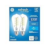 GE Refresh 60-Watt EQ ST19 Daylight Dimmable Edison Light Bulb (2-Pack) LED Light Fixture Light Bulb