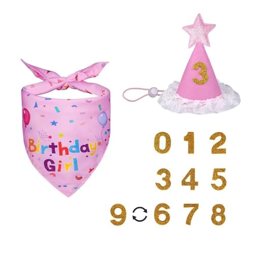 Bestac Dog Birthday o_iZbg - \tgybgo[Xf[nbg&o[VuXJ[tA߉\ȃLbvA21C`܂ł̌ɃtBbgAq̒ap[eB[pi&MtgɍœK(sN)