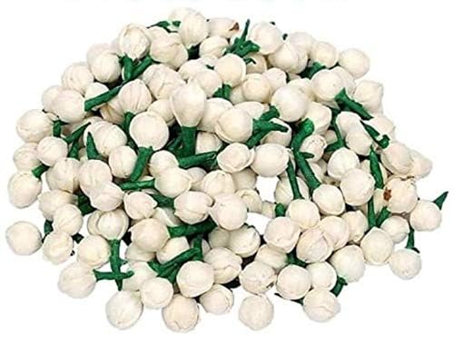 SPHINX Sola Rajnigandha Flower, Jasmine Flower Buds -Handmade Bio-degradable flowers for Art & Crafts, Garland Making, Gajra Making, Potpourri Bowl Vase fillers - (Jasmine - 500 Pieces)