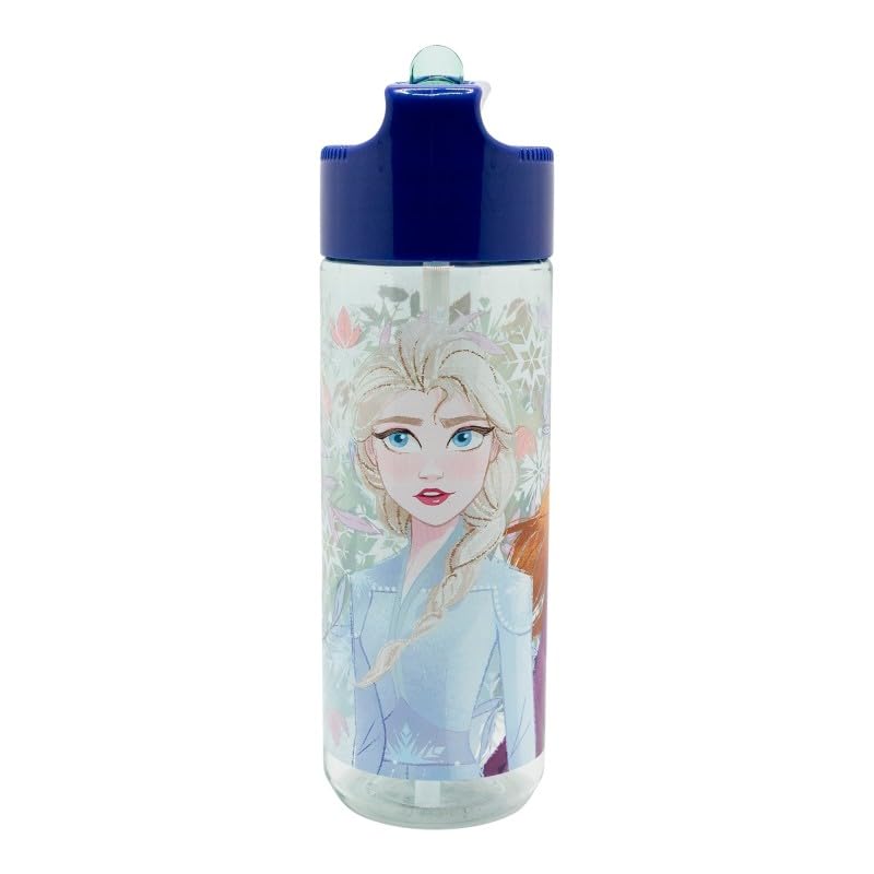 Image of STRIDERS LARGE ECOZEN BOTTLE FROZEN SHOWY TALE 540 ML