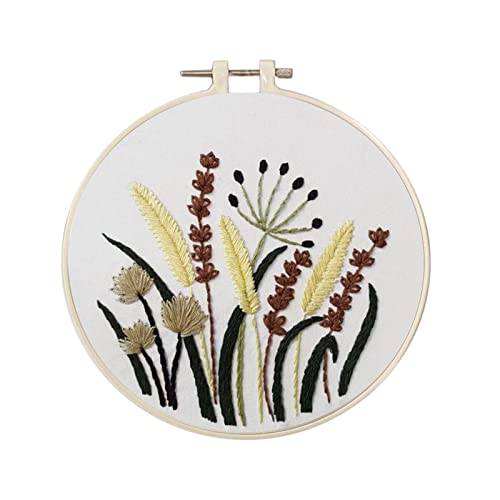 Colcolo 1 Conjunto de Kits para Iniciantes Embrodiery com Ferramentas Básicas DIY Needlework Gift -