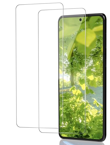ICESPRING für Panzerglas für Samsung Galaxy S21 Plus 5G Schutzfolie 2 Stück Fingerabdruck-ID Panzerfolie für Samsung S21+ Folie 9H Härte Schutzglas für Galaxy S21 Plus Panzer Schutz Glas