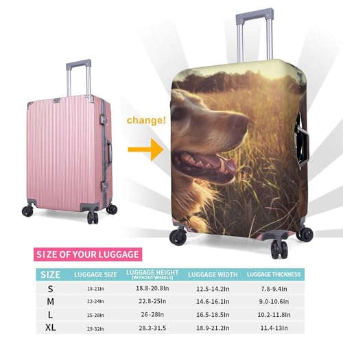 Housse protection polyester lavable grand format motif Golden Retriever - 5