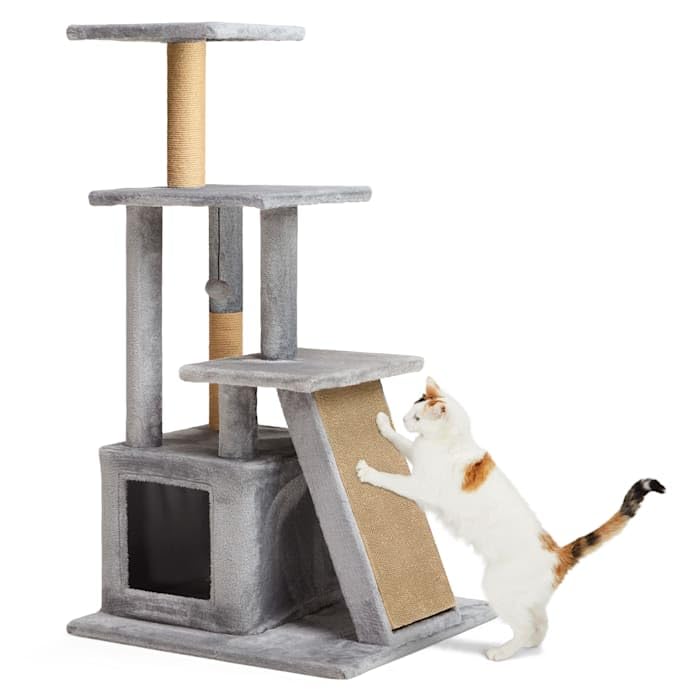 blu buffalo cat food indoor chicken Blue Buffalo Freedom Grain Free Indoor Chicken Recipe Dry Cat Food