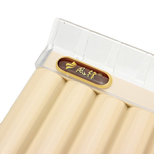 VIDOO 16 Tubo Eco Friendly Resin C Tono Pan Flauto Facile Apprendimento