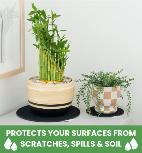 Garden Hour Large Felt Coasters For House Plants. 14 In, 12, 10, 8, 6 Inch Round Felt Pad Plant Mat For Indoor Plants. 10 Absorbent Coasters Multi Size Surface Savers For Potted Plants Plant Saucer #TOP3