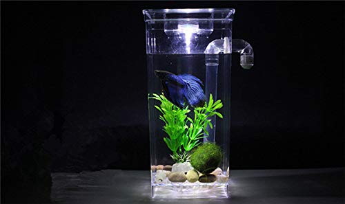 Pecera de plástico para peces pequeños, minipecera cuadrada, pecera redonda, pecños, minipecera cuadrada, pecera redonda, pecera ecológica, para exhibición en el escritorio (pecera cuadrada)