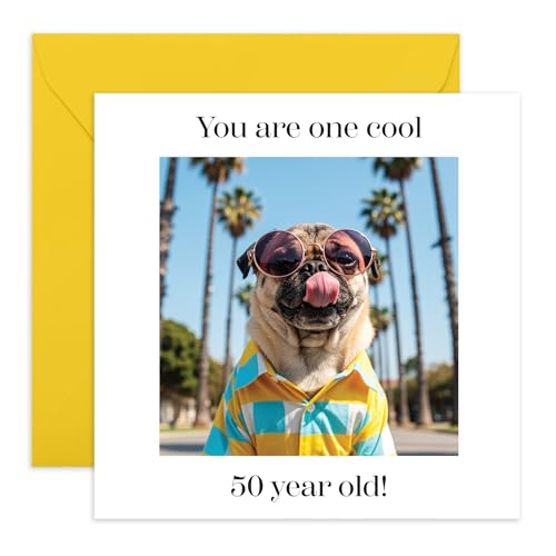 CENTRAL 23 50΂̒aJ[h  Z  ܂͗Fl - TOXƃVc𒅂pO - gȃV̖؂̃V[ - F̕ - XebJ[t