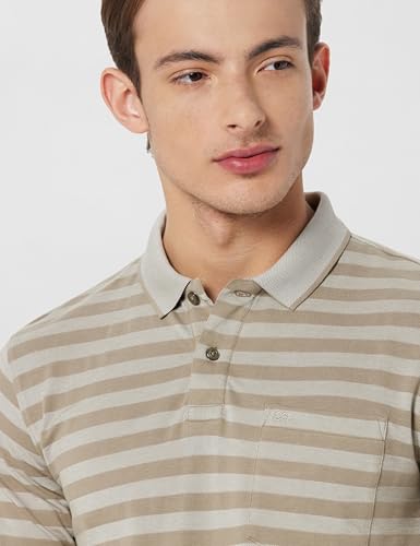 Image of Peter England Men's Cotton-Polyester Blend Striped Polo T-Shirt | Casual Wear | Durable & Trendy