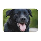 PLAGDECNA Rottweiler Tapis de salle de bain de luxe en velours cristal avec bords verrouillés, tapis de sol antidérapant doux à poils longs, pour salle de bain, meuble-lavabo, chambre d'enfant - 60 x