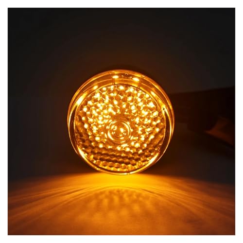 Clignotant LED Moto Haut de Gamme pour Custom Iron 883 et Bobber 72