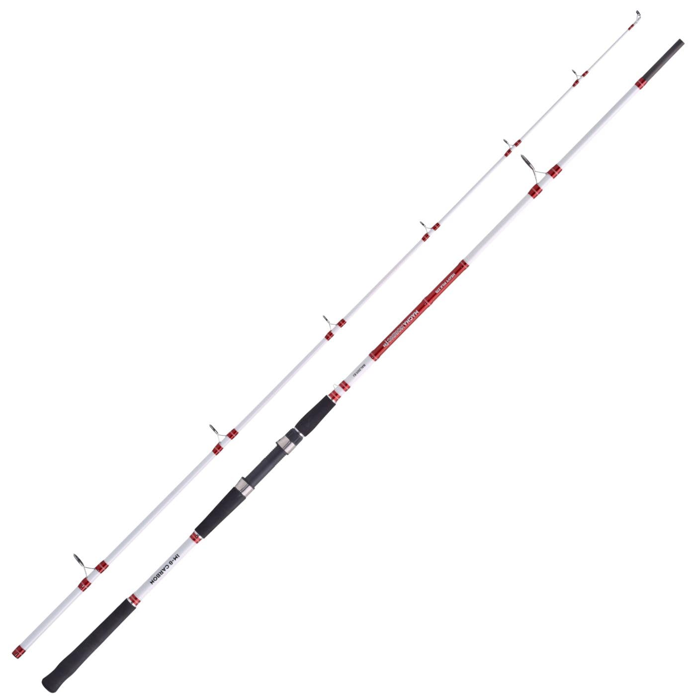 Balzer Magna Nordic Pro Heavy Pilk 275 2,70m 80-275g - Pilkrute, Meeresrute, Bootsrute, Angelrute zum Meeresangeln, Salzwasserrute
