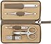 Produktbild ZWILLING Maniküreset 5-teilig Nagelpflegeset aus Rindleder mit Reißverschluss, Premium, Taupe
