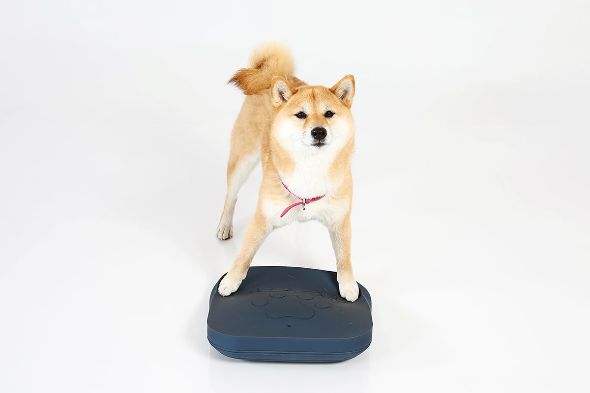 Togu Dynair® Animal Pad Misty Mountain - Hundetraining