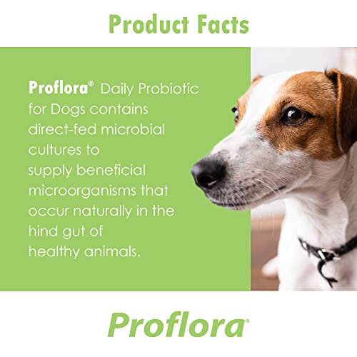 Proflora Probiotic For Dogs - Healthy Digestion - Boost Immune System - Normal Bowel Function - Skin And Coat Health - Supplement For Gi Tract - 90 Servings, 3-Pack #TOP2