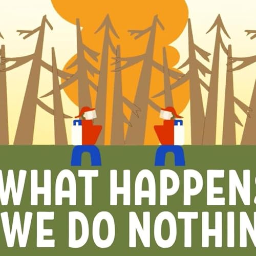 What Earth in 2050 could look like - Shannon Odell