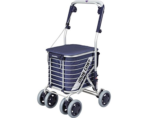 X nlCr[ AS-0275 ([oY) iԕisj