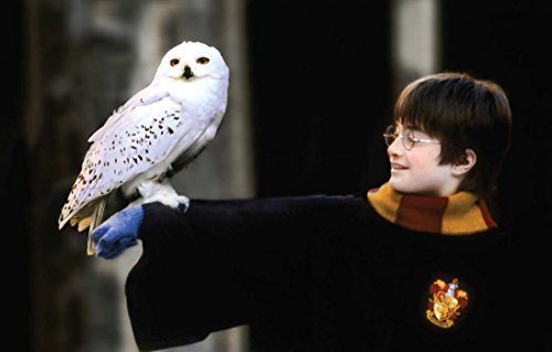 Image of Insights HARRY POTTER: THE POSTCARD COLLECTION