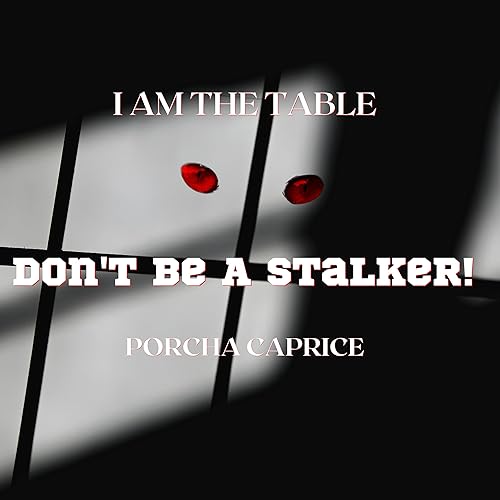 Don't Be A Stalker! cover art