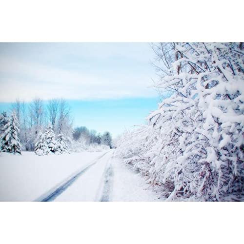 Preisvergleich Produktbild Vinyl Benutzerdefinierte Fotografie Kulissen Prop Winterlandschaft Thema Fotografie Hintergrund A6 10x10ft / 3x3m