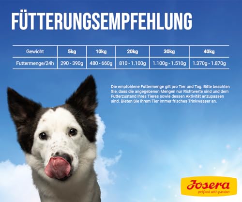 JOSERA Meat Lovers Menu Duck with Pumpkin (6 x 800 g) | Adult | Premium Nassfutter für ausgewachsene Hunde | Ente mit Kürbis - mit viel Fleisch (65%) | weizenfrei | Hundefutter nass | 6er Pack