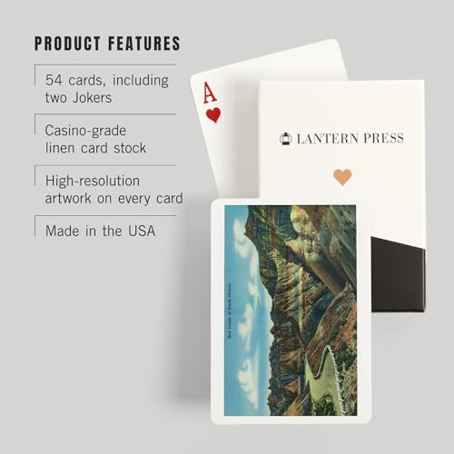Baraja de Poker Lantern Press Badlands National Park miniatura 3