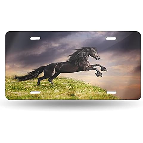 Snowmolle Friesian Black Horse Running License Plate Decorative Car Front License Plate Cover Vanity Tag Metal Car Plate Aluminum Novelty License Plate for Men/Women Car 6 X 12 Inch Cover