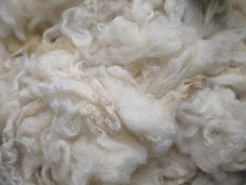 Image of 1 Lb raw Wool Sheep Washed w /Debris,Natural Wool for Stuffing Animals, Crafts, Cushions, Pillow Filler, Needle Felting Spinning.School Projects